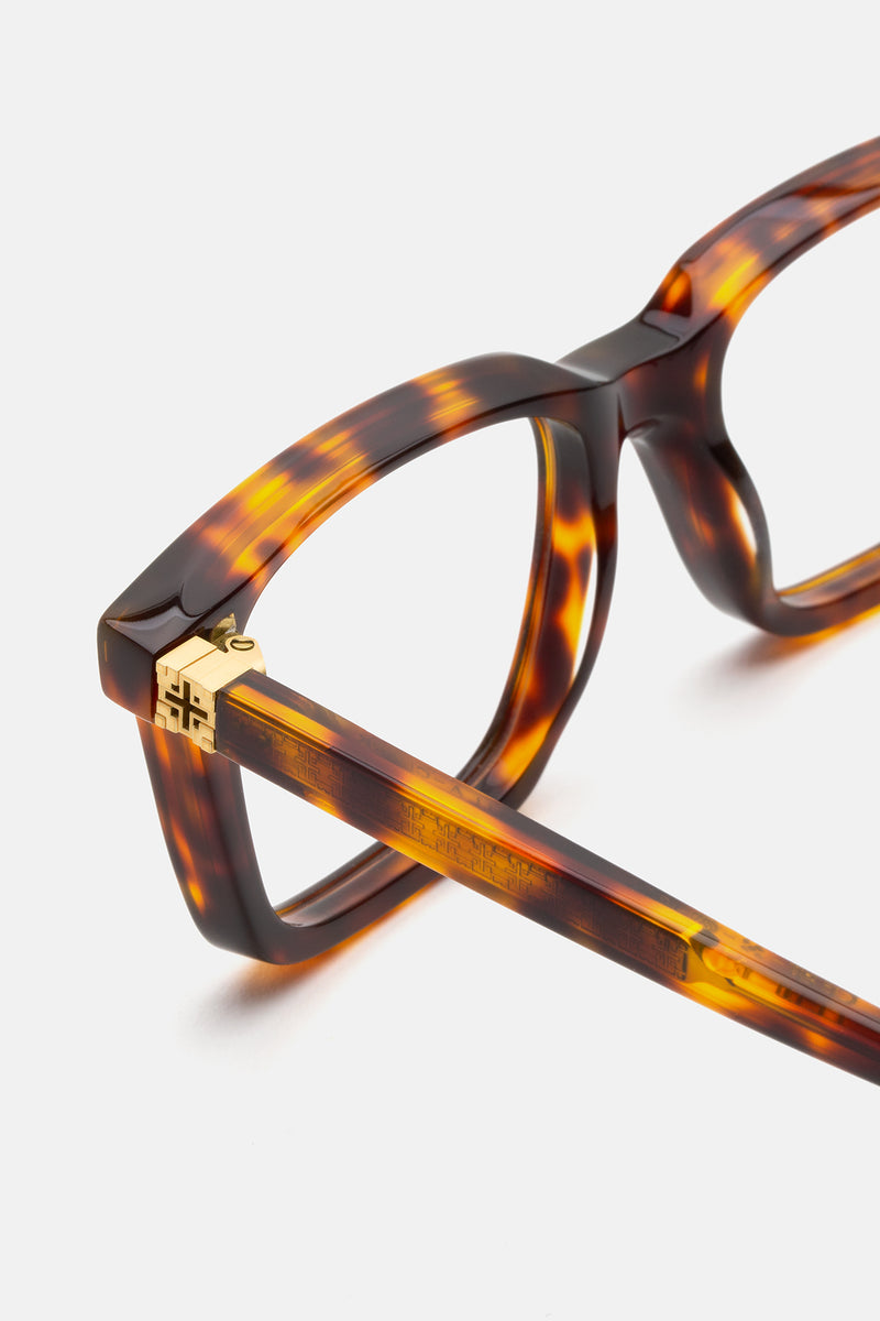Clark Tortoise