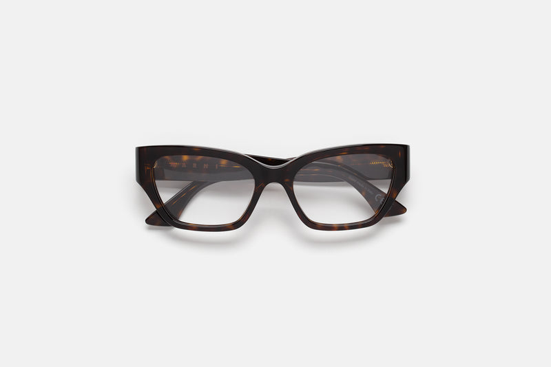Iyora Dark Havana