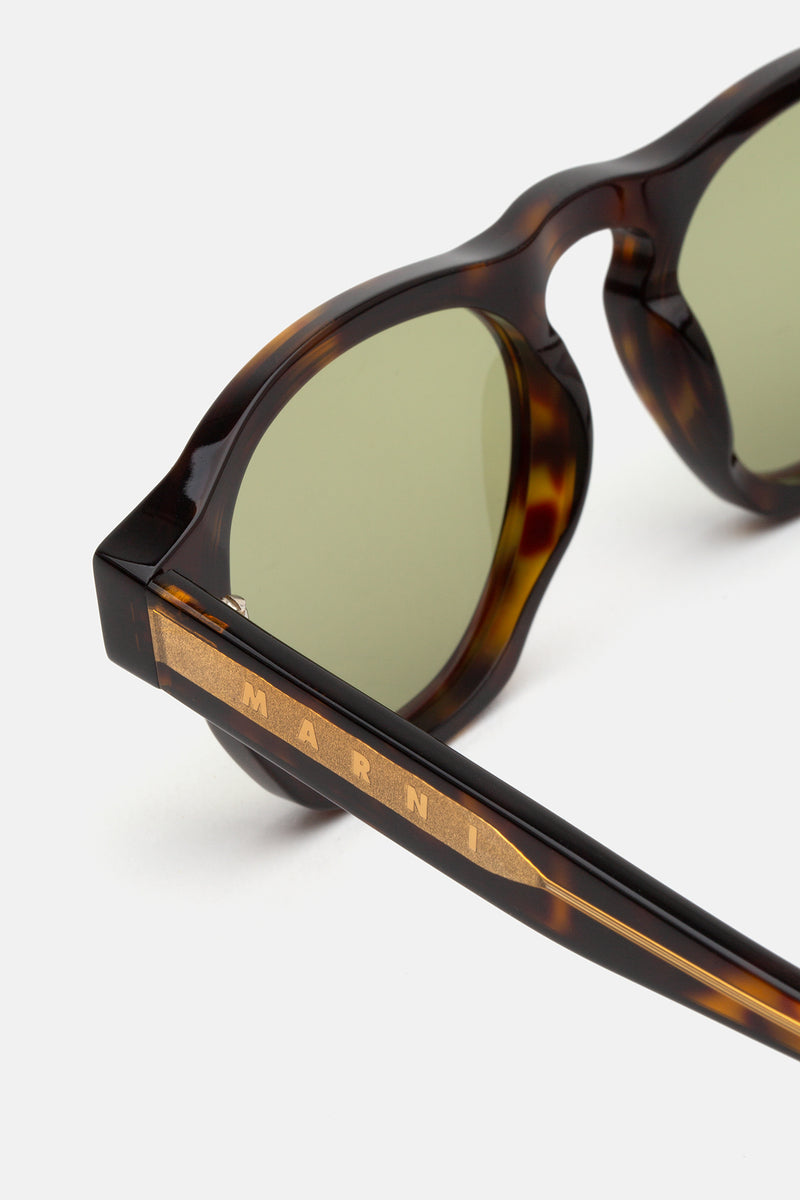 Yunari Dark Havana