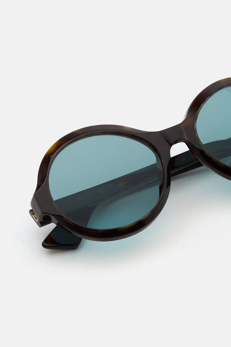 Nozea Dark Havana