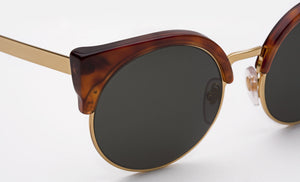 Ilaria Classic Havana — 2
