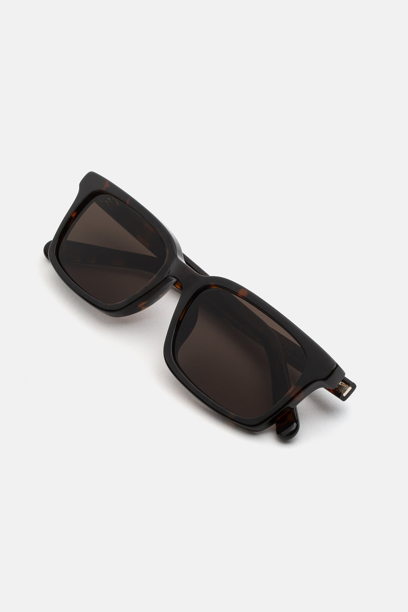 Lunettes 5 Écailles