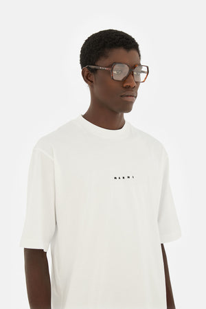 Marni Vista 04 Deep Tortoise — 6