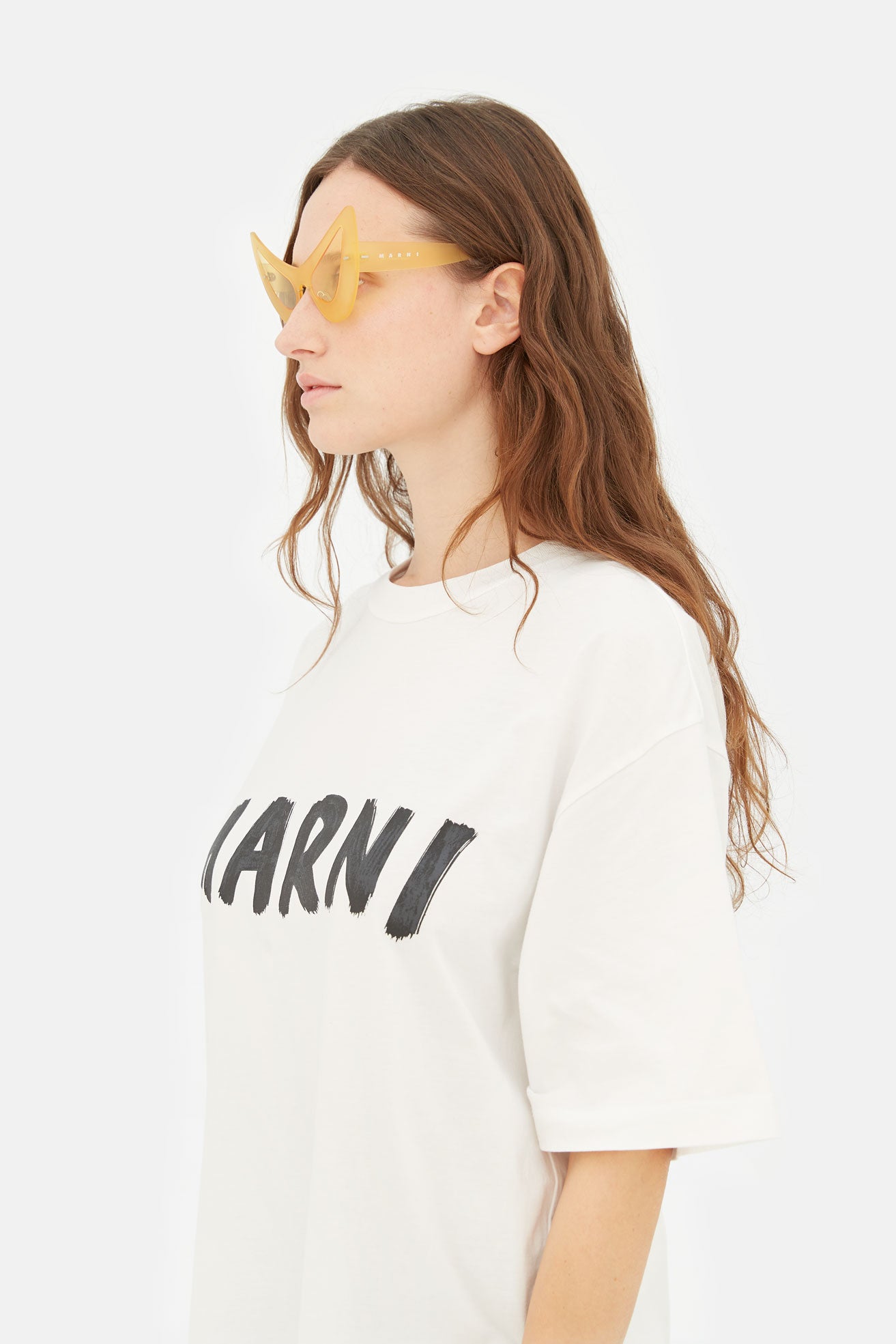 Char Dham Yellow