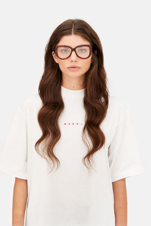 Elephant Island Optical Blonde Havana — 4